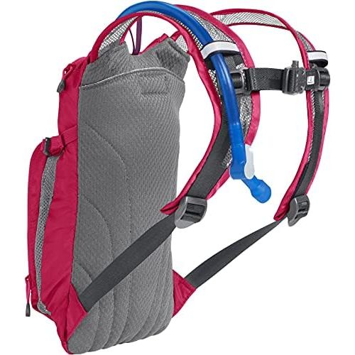  CamelBak Mini M.U.L.E. Kids Hydration Backpack, 50 oz