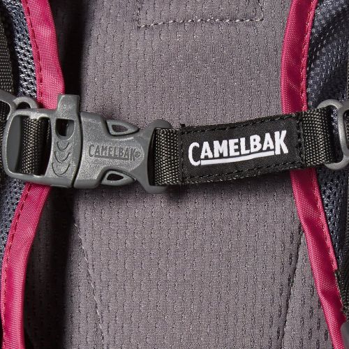  CamelBak Kids Mini M.U.L.E. Hydration Pack, 50oz