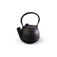 Camp Chef Cast Iron Tea Pot