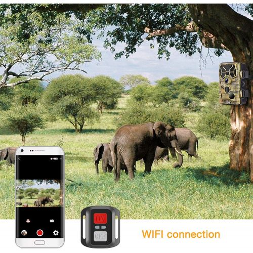  Campark Trail Camera-WiFi 20MP 1296P Hunting Game Camera with Night Vision Motion Activated for Outdoor Wildlife Monitoring Waterproof IP66