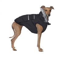Canada Pooch | Everest Explorer Dog Jacket | Winter Dog Coat