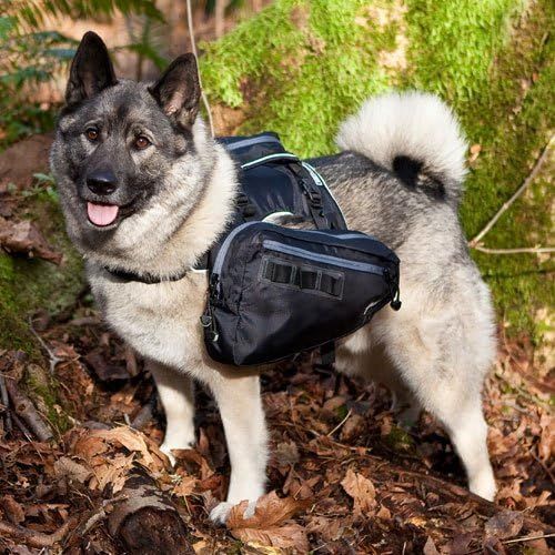  Canine Equipment Ultimate Trail Dog Pack