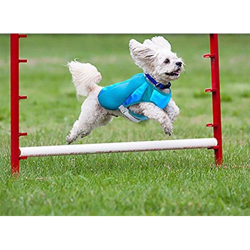  Canine Equipment Ultimate Cooling Coat for Dogs