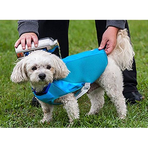  Canine Equipment Ultimate Cooling Coat for Dogs