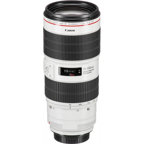 캐논 [아마존베스트]Canon EF 70-200mm f/2.8L is III USM Lens with Professional Bundle Package Deal Kit for EOS 7D Mark II, 6D Mark II, 5D Mark IV, 5D S R, 5D S, 5D Mark III, 80D, 70D, 77D, T5, T6, T6s