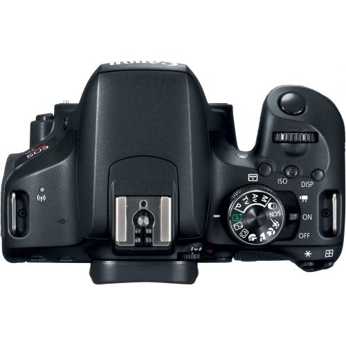 캐논 [아마존베스트]Canon EOS T7i DSLR Camera with 18-55mm IS STM Lens + 2 x 32GB Card + Accessory Kit