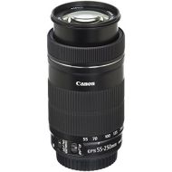 [아마존베스트]Canon EF-S 55-250mm F4-5.6 IS STM Lens for Canon SLR Cameras