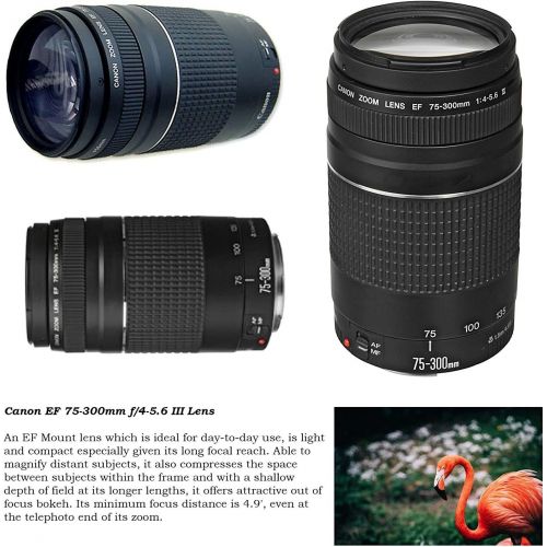 캐논 [아마존베스트]Canon EF 75-300mm III and Commander 420-800mm Zoom Lens Bundle with EF-EOS M Adapter, for Canon EOS M, M50, M6, M5, M100, M10 Cameras