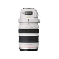Canon 28-300mm f/3.5-5.6 EF IS Zoom Lens USM(Japan Import-No Warranty)