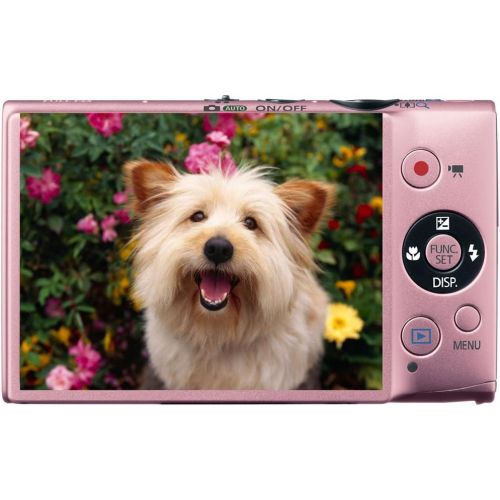 캐논 Canon PowerShot ELPH 110 HS 16.1 MP CMOS Digital Camera with 5x Optical Image Stabilized Zoom 24mm Wide-Angle Lens and 1080p Full HD Video Recording (Pink)