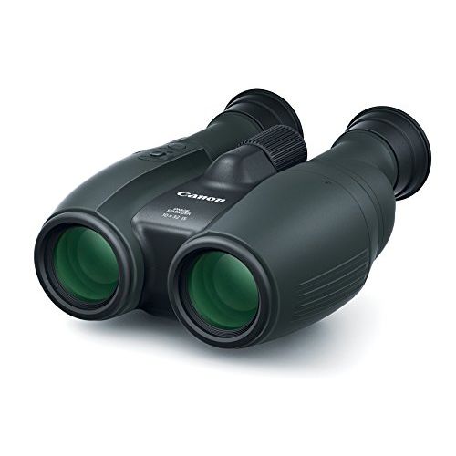 캐논 Canon Cameras US 10X32 is Image Stabilizing Binocular, Black (1372C002)