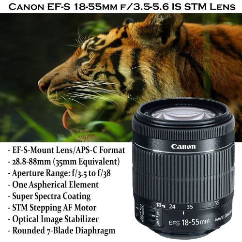 캐논 Canon EOS Rebel 80D DSLR Camera with 18-55mm is STM Lens Bundle + Canon EF 75-300mm f/4-5.6 III Lens and 500mm Preset Lens + 64GB Memory + Filters + Monopod + Spider Tripod + Profe