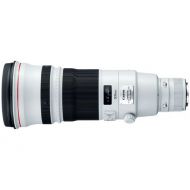 Canon EF 500mm f/4L IS II USM Lens