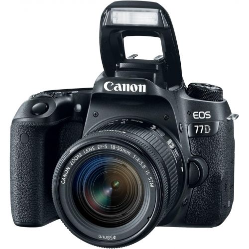 캐논 Canon EOS 77D EF-S 18-55 IS STM Kit