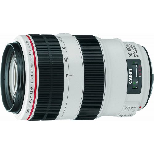 캐논 Canon EF 70-300mm f/4-5.6L IS USM UD Telephoto Zoom Lens for Canon EOS SLR Cameras