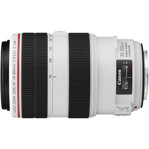 캐논 Canon EF 70-300mm f/4-5.6L IS USM UD Telephoto Zoom Lens for Canon EOS SLR Cameras