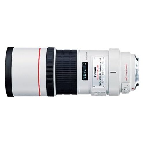 캐논 Canon EF 300mm f/4L IS USM Telephoto Fixed Lens for Canon SLR Cameras - 2530A004