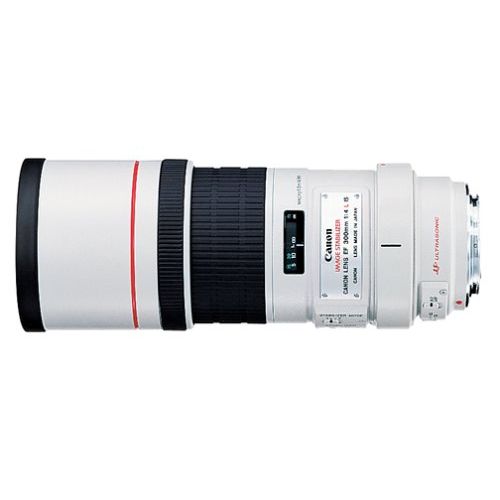 캐논 Canon EF 300mm f/4L IS USM Telephoto Fixed Lens for Canon SLR Cameras - 2530A004