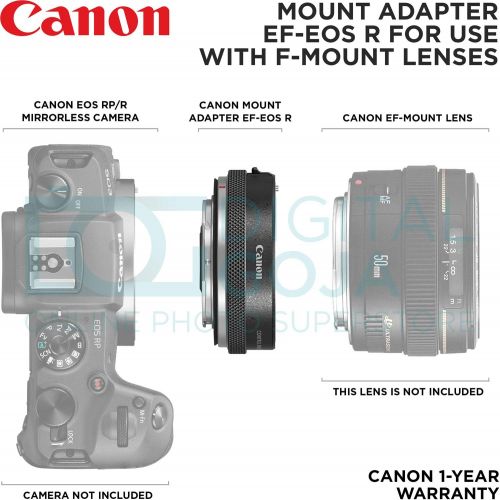 캐논 Canon Control Ring Mount Adapter EF-EOS R with Altura Photo Essential Accessory Bundle