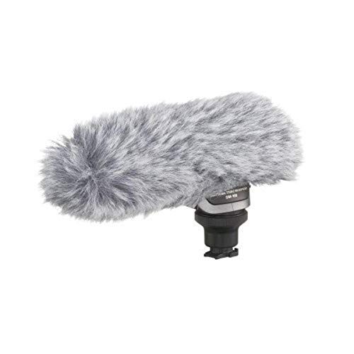 캐논 Canon 2591B002 DM-100 Directional Stereo Microphone for HF/HG Series Camcorders