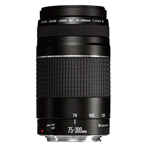 캐논 Canon EF 75-300mm f/4-5.6 III Telephoto Zoom Lens for Canon SLR Cameras