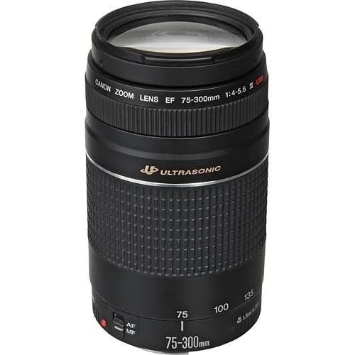 캐논 Canon EF 75-300mm f/4-5.6 III Telephoto Zoom Lens for Canon SLR Cameras