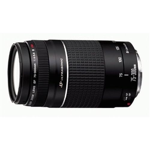 캐논 Canon EF 75-300mm f/4-5.6 III Telephoto Zoom Lens for Canon SLR Cameras