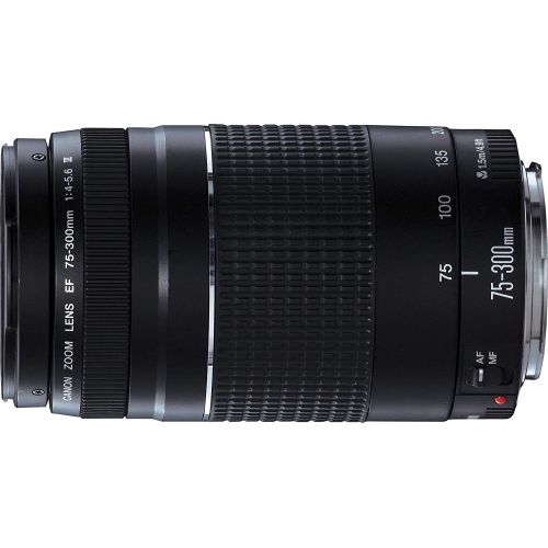 캐논 Canon EF 75-300mm f/4-5.6 III Telephoto Zoom Lens for Canon SLR Cameras