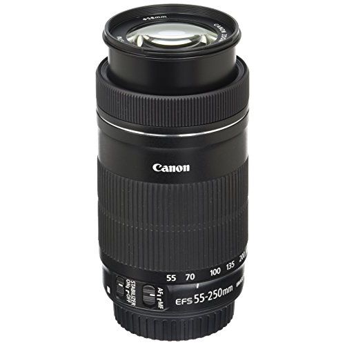 캐논 Canon EF-S 55-250mm F4-5.6 IS STM Lens for Canon SLR Cameras