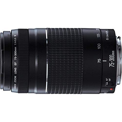 캐논 Canon EF 75-300mm f/4-5.6 III Telephoto Zoom Lens