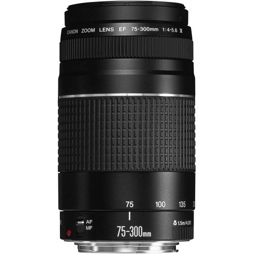 캐논 Canon EF 75-300mm f/4-5.6 III Telephoto Zoom Lens