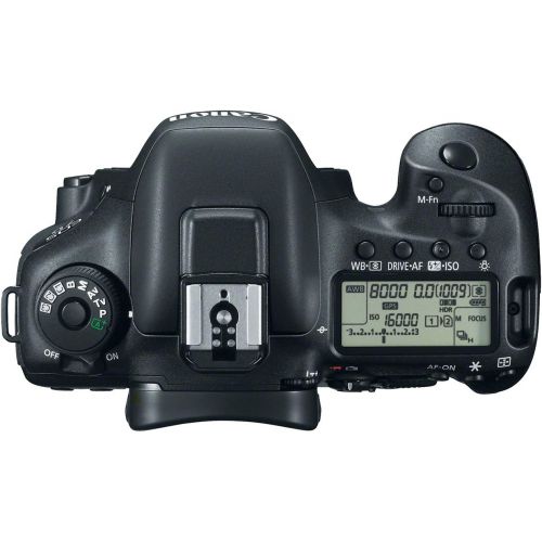 캐논 Canon EOS 7D Mark II Digital SLR Camera (Body Only)