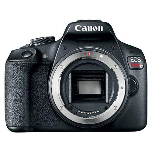 캐논 Canon EOS Rebel T7 Digital SLR Camera Body Only (Kit Box)