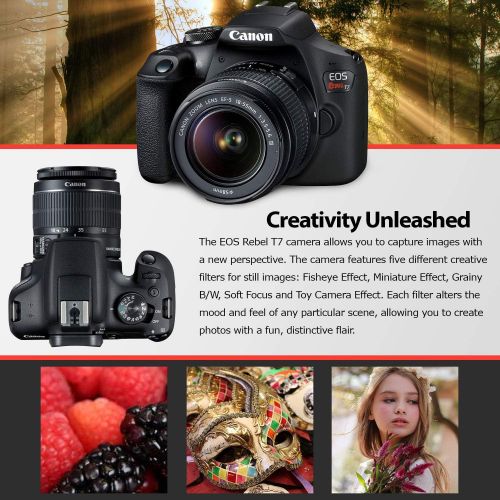 캐논 Canon Rebel T7 DSLR Camera with 18-55mm Lens Kit and Sandisk 64GB Ultra Speed Memory Card, Creative Lens Filters, Carrying Case | Limited Edition Bundle