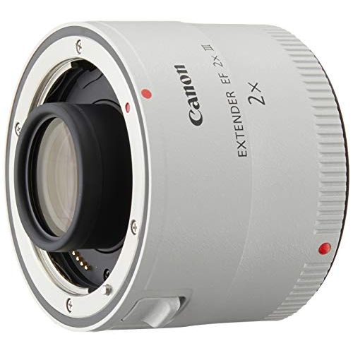 캐논 Canon EF 2.0X III Telephoto Extender for Canon Super Telephoto Lenses