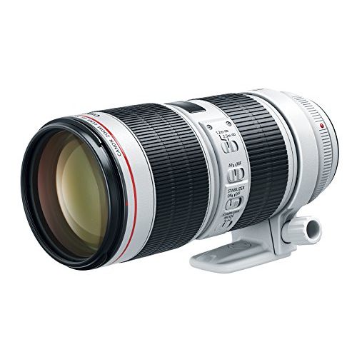 캐논 Canon EF 70-200mm f/2.8L IS III USM Lens for Canon Digital SLR Cameras, White - 3044C002