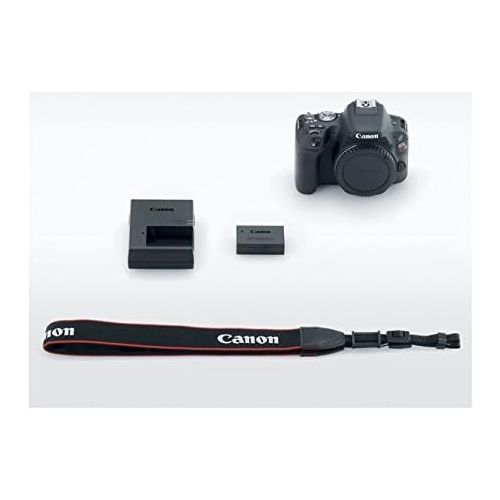 캐논 Canon EOS Rebel SL2 Digital SLR Camera Body - WiFi Enabled - USB Card Reader & Wallet - Strap (SLR/Video) - Case - 64GB - 72 Tripod - Lens Cap Keeper