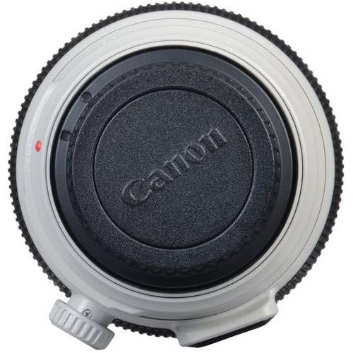 캐논 Canon EF 100-400mm f/4.5-5.6L is II USM Lens International Version Professional Bundle