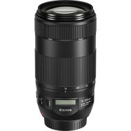 Canon CANON Exchange Lens EF70-300mm F4-5.6 is II USM - Canon EF Mount (Japan Import-No Warranty)