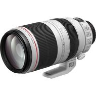 Canon EF 100-400mm f/4.5-5.6L is II USM - International Version (No Warranty)
