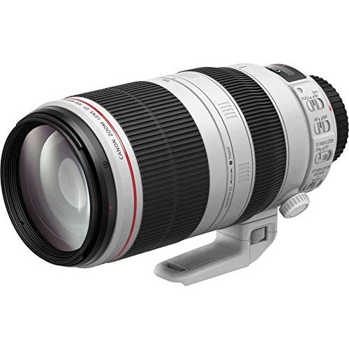 캐논 Canon EF 100-400mm f/4.5-5.6L is II USM - International Version (No Warranty)