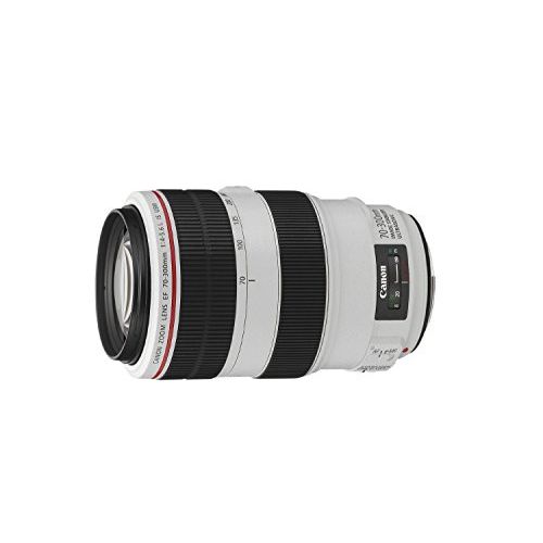 캐논 Canon EF 70-300mm f/4-5.6L is USM, 4426B005AA - International Version (No Warranty)