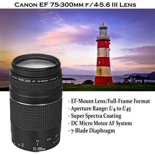 캐논 Canon EOS Rebel 90D DSLR Camera with 18-55mm is STM Lens Bundle + Canon EF 75-300mm f/4-5.6 III Lens and 500mm Preset Lens + 64GB Memory + Filters + Monopod + Spider Tripod + Profe