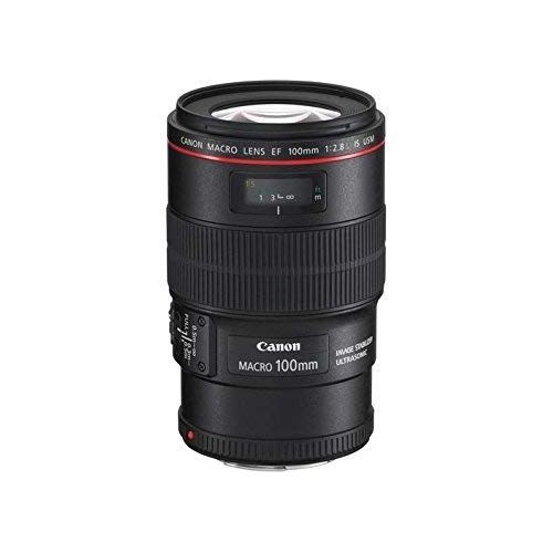 캐논 Canon EF 100mm F/2.8L is USM Macro Lens for Digital SLR Cameras International Version (No Warranty)