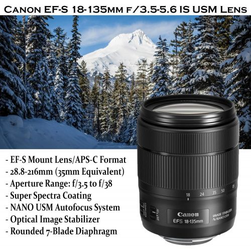 캐논 Canon EOS 80D DSLR Camera with 18-135mm Lens, 50mm f/1.8, 75-300mm Lenses + 500mm & 650-1300mm Preset Lenses + 5 Photo/Video Editing Software Package & Professional Accessory Kit