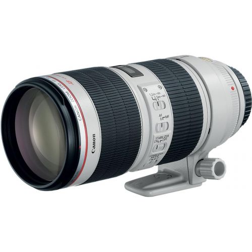 캐논 Canon EF 70-200mm f/2.8L IS II USM Telephoto Zoom Lens for Canon SLR Cameras