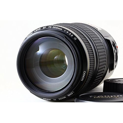 캐논 Canon EF 75-300mm f/4-5.6 IS USM Telephoto Zoom Lens for Canon SLR Cameras (Discontinued by Manufacturer)