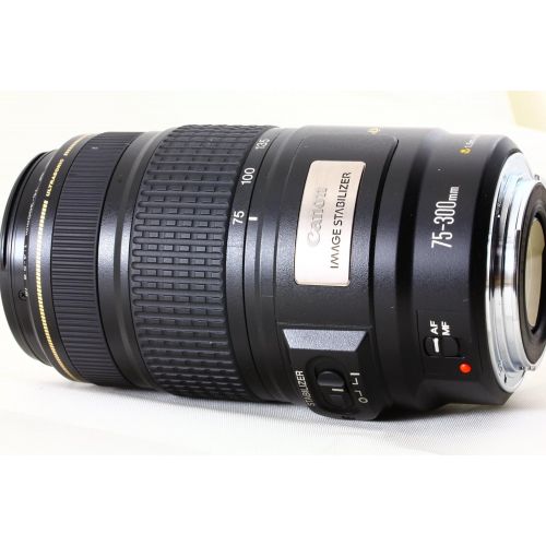 캐논 Canon EF 75-300mm f/4-5.6 IS USM Telephoto Zoom Lens for Canon SLR Cameras (Discontinued by Manufacturer)