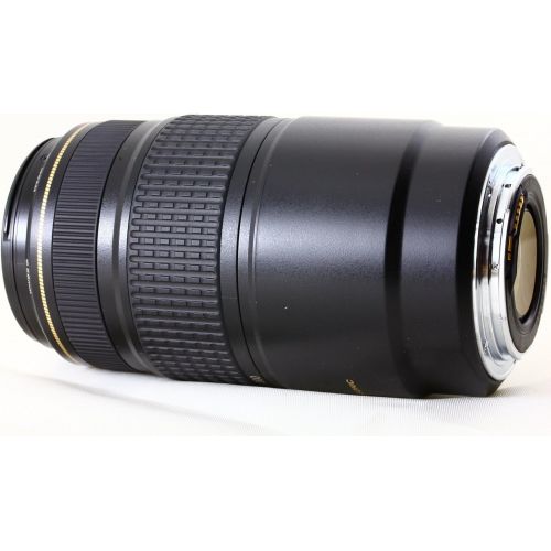 캐논 Canon EF 75-300mm f/4-5.6 IS USM Telephoto Zoom Lens for Canon SLR Cameras (Discontinued by Manufacturer)