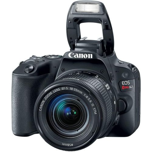 캐논 Canon EOS Rebel SL2 DSLR Camera with 18-55mm Lens (Black) (2249C002) + Canon EOS Bag + Sandisk Ultra 64GB Card + Clean and Care Kit (International Model)